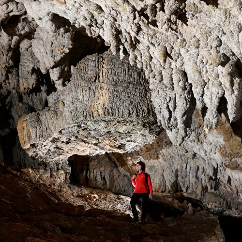 Grotte de Labouiche (Ariège) - Le "Pied de géant" (SP-23-1669)